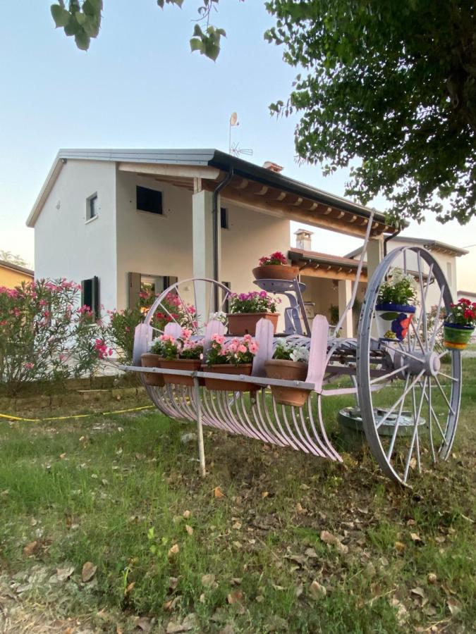 Apartament La Casa Di Bruno Piove di Sacco Zewnętrze zdjęcie
